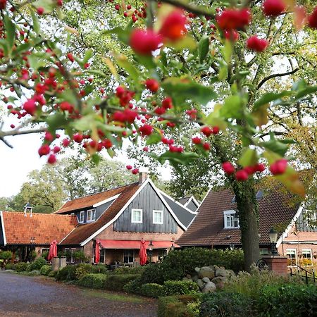 Het Ros Van Twente De Lutte Ngoại thất bức ảnh